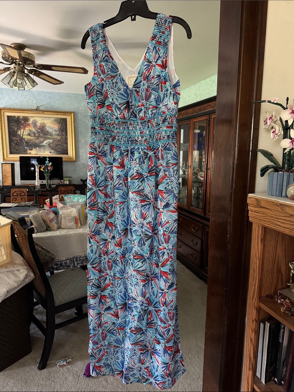 Sail to Sable Sleeveless V-Neck Maxi in Blue & Red Floral-Print